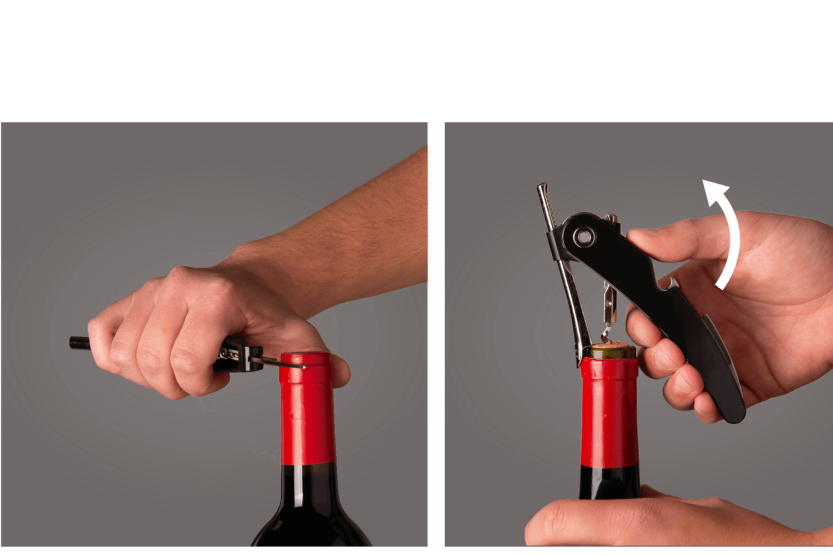 Vacu Vin Premium 4-delige wijnset