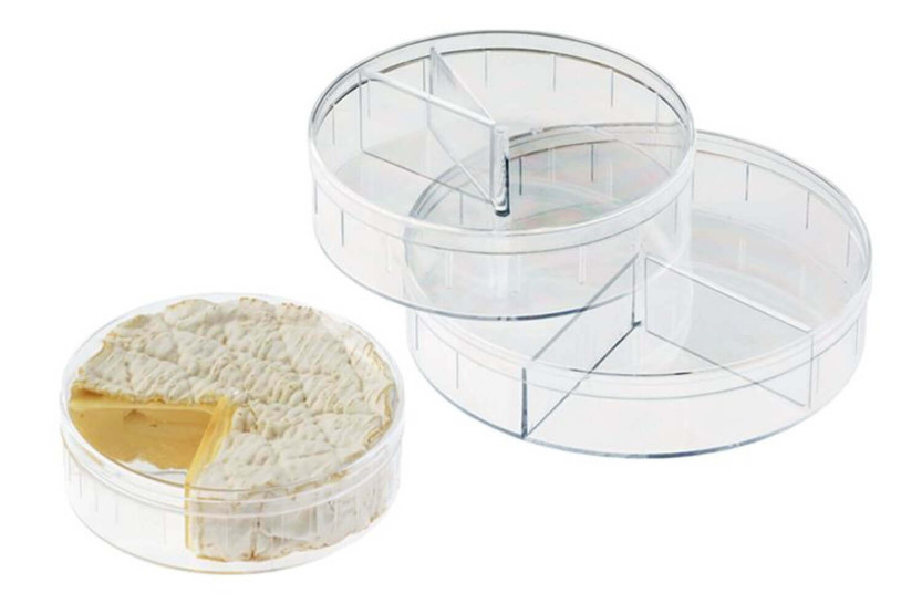Caixa La Bonne Graine Camembert Ø11cm