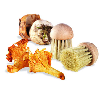 Spazzola per funghi La Bonne Graine 4cm 2