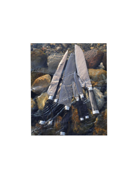 Fischmesser Kai Michel Bras n°2 15cm Edelstahl SG2 + Holzscheide