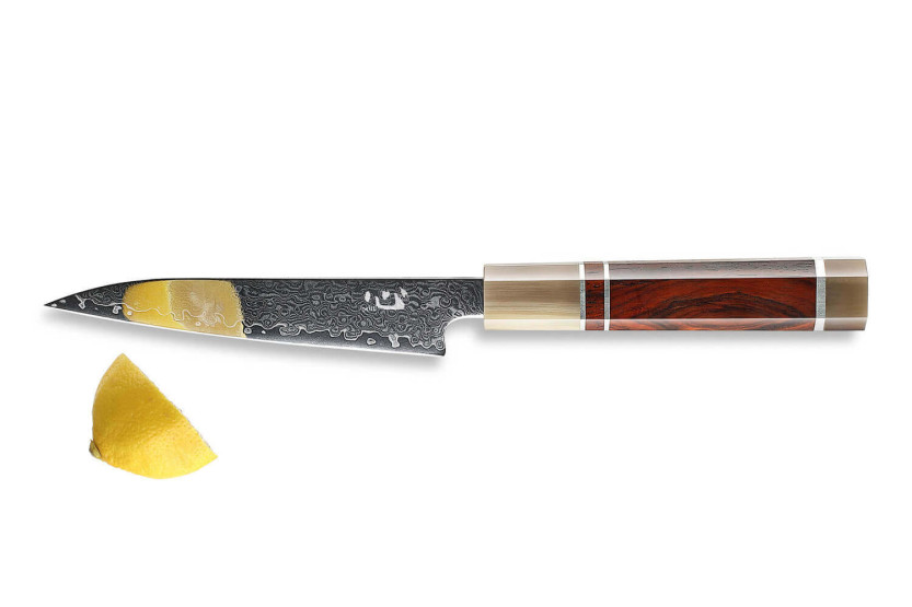 Xin XinCraft VG10 teräksestä peilikiillotettu damascus 12cm Universal veitsi
