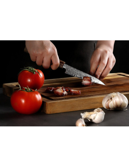 Xin XinCraft VG10 stål spejlpoleret damaskus 12 cm universalkniv