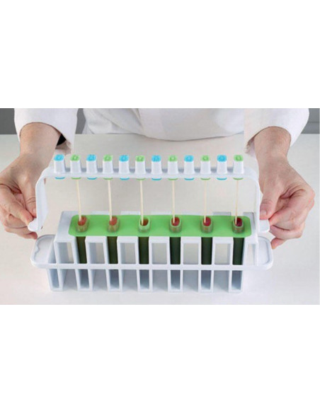 Kit di stampi per gelato L'Italiano Silikomart - 2 stampi in silicone e 2 supporti sintetici