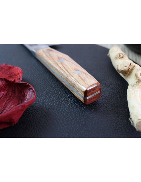 Shimomura Un-Ryu 21cm 33 capas damasco cuchillo de chef japonés