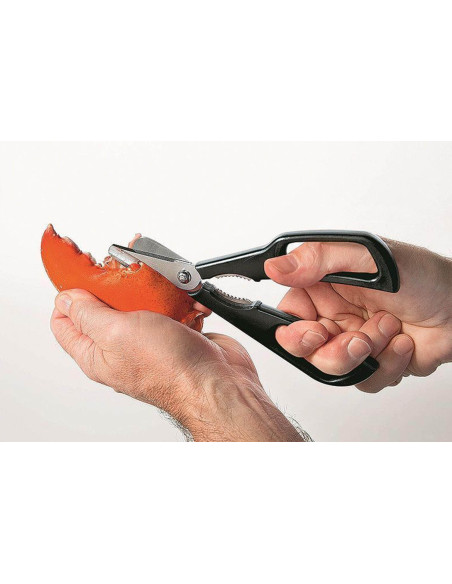 Schere für Krustentiere MoHA! Zerlegbare Scampoos aus Edelstahl und ABS