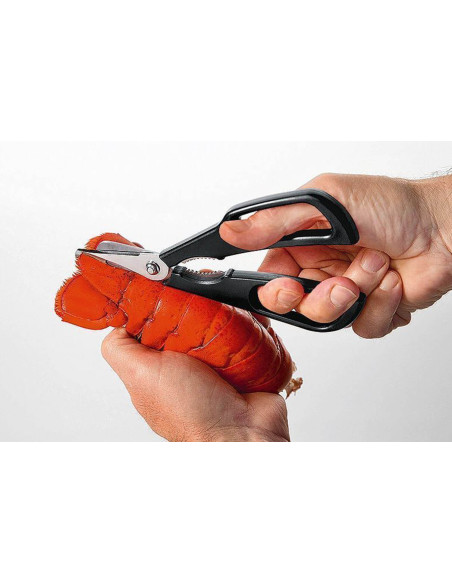 Forbici per frutti di mare MoHA! Scampo rimovibile in acciaio inox e ABS