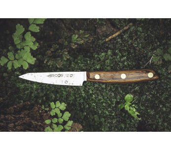 Cuchillo de pelar Arcos Nórdika 10cm hoja 2