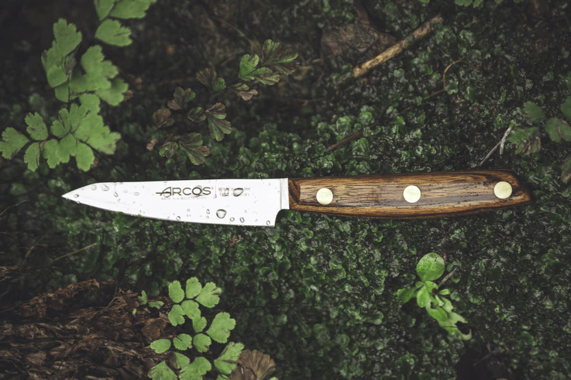 Arcos Nòrdika skalkniv 10cm blad