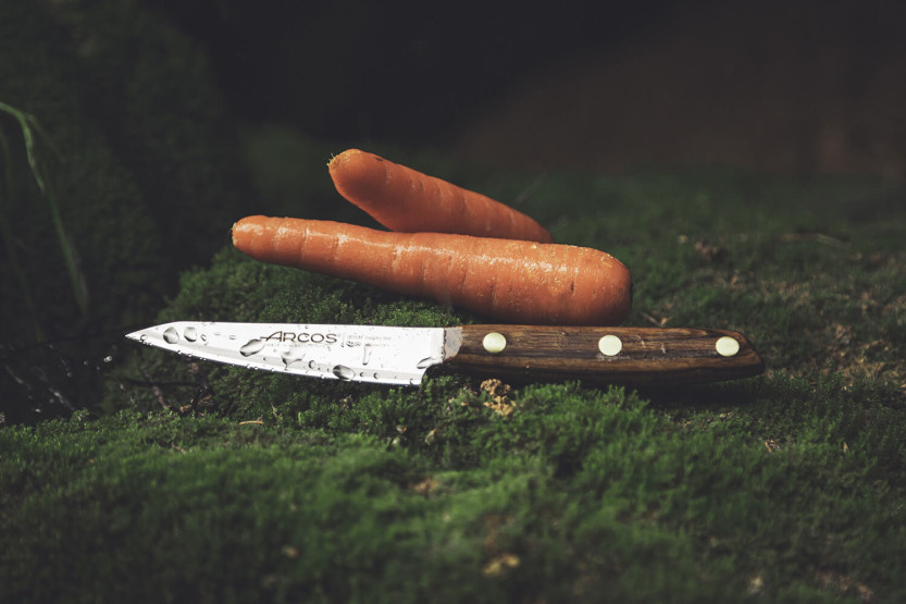 Cuchillo de pelar Arcos Nòrdika 10cm hoja