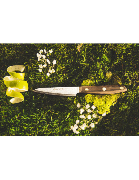 Arcos Nòrdika Spickmesser Klinge 10cm