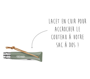 Faca Opinel N°06 Baroudeur 7cm lâmina cabo sálvia 2