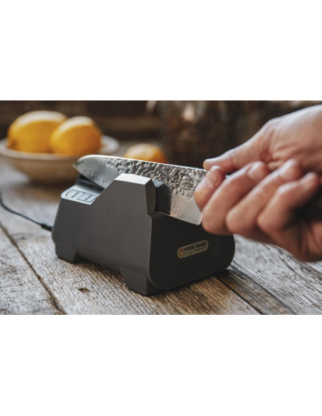 Afiador elétrico Worksharp E2 para facas de cozinha