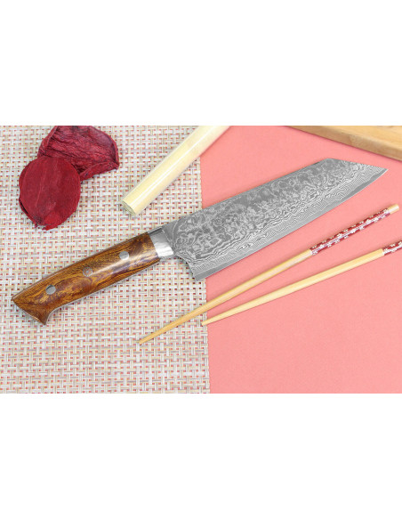 Takeshi Saji R2 Mozaïek Damascus 18cm Japans bunka mes