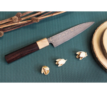 Takeshi Saji VG10 Gold 13,5 cm handgjord japansk universalkniv 2