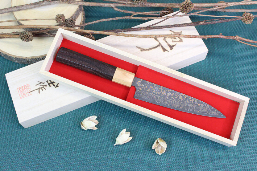 Takeshi Saji VG10 Gold 13,5cm handmade japanese Universal knife