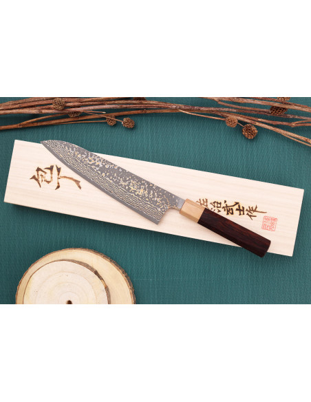 Takeshi Saji VG10 Gold 21 cm japansk kokkekniv, håndlaget