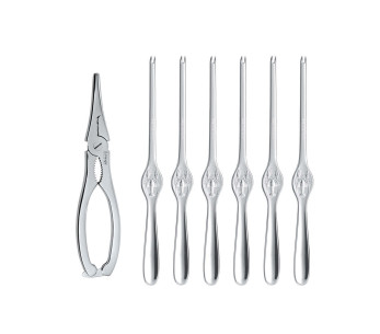 Set di 7 pezzi Triangle lobster in acciaio inossidabile 18/10 2