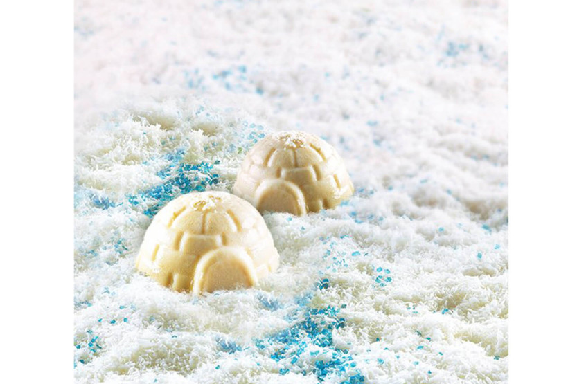Silicon mold professionnel Silikomart Silicon Flex 6 igloos