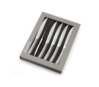 Set mit 6 Steakmessern Amefa Bongo XL komplett aus Edelstahl
