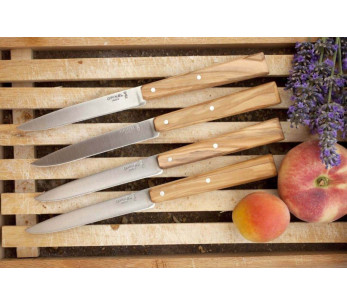 Set in scatola di 4 coltelli Opinel Bon Appétit Sud da 11 cm in acciaio inox con manico in legno d'ulivo 2