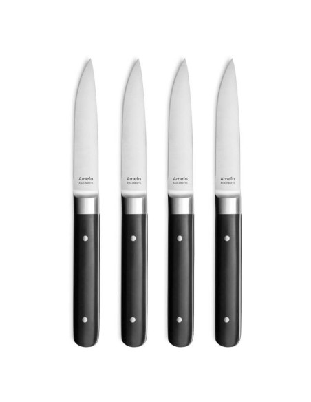 Set med 4 Fusion Amefa-stekknivar