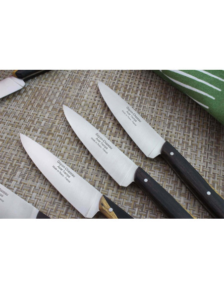 Estuche 6 Cuchillos de pelar Le p'tit tradi Goyon-Chazeau mango granadillo 10cm