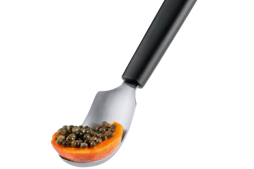 Aushöhlungslöffel für Obst Triangle Edelstahl