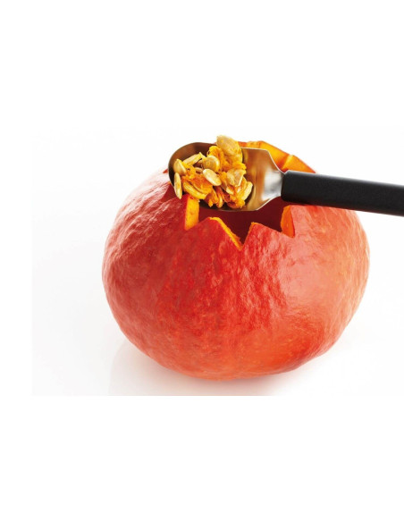 Aushöhlungslöffel für Obst Triangle Edelstahl