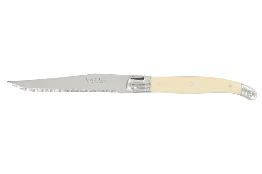 Juego de 6 cuchillos microdentados Laguiole de André Verdier