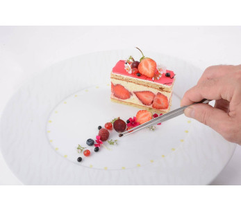 Louis Tellier Professionele Aankleed Tang 15.8cm geheel van roestvrij staal 2