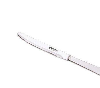 Set van 12 Arcos monobloc tafelmessen 12,5cm 2