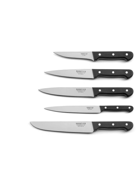 Extra-flat case 5 Sabatier Trompette Universal butcher knives