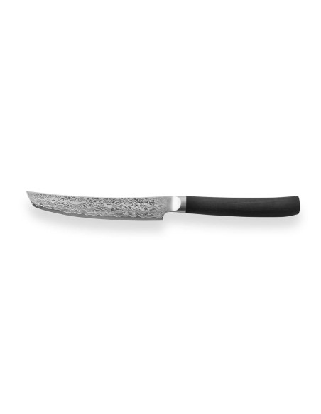 Shizu Hamono VG10 Series Damascus 33-kerroksinen japanilainen pihviveitsi