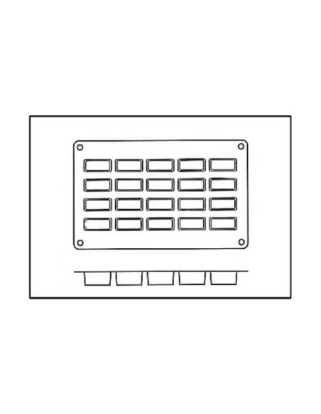 Silisium mold Flex profesjonell Silisium mold 300x175mm 20 mini financiers