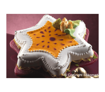 Professional silicone mold Uniflex star 6 branches Ø26cm h 4cm 2