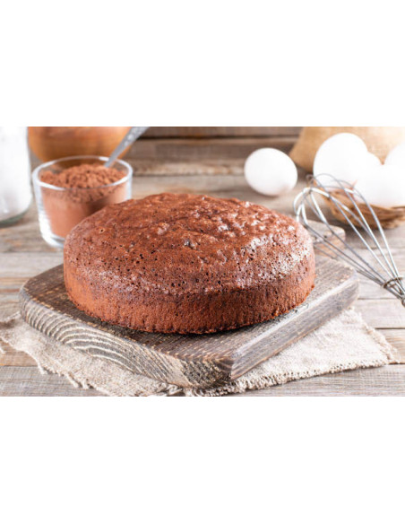 Gobel non-stick rund springform - diameter 26 cm