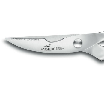 Sabatier International Orion, forbici da potatura con lama da 10 cm 2