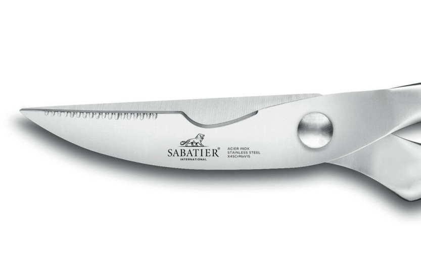 Sabatier International Tesoura de podar Orion Lâminas de 10 cm