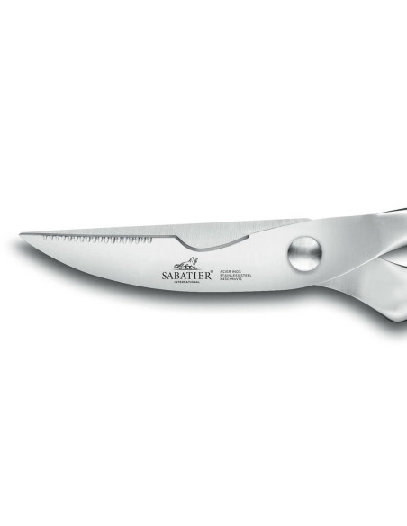 Sabatier International Tesoura de podar Orion Lâminas de 10 cm