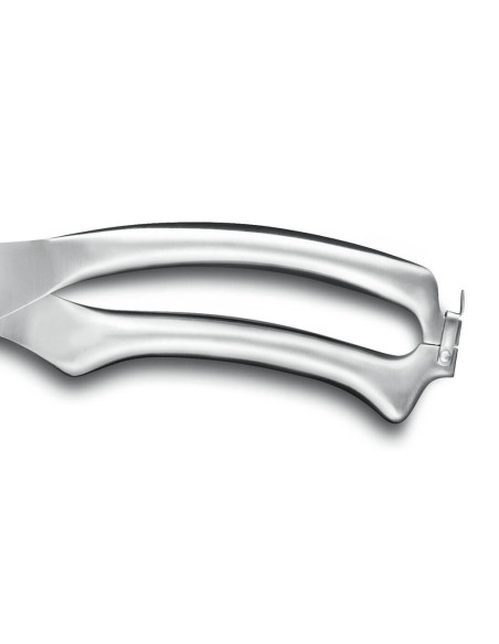 Sabatier International Tesoura de podar Orion Lâminas de 10 cm