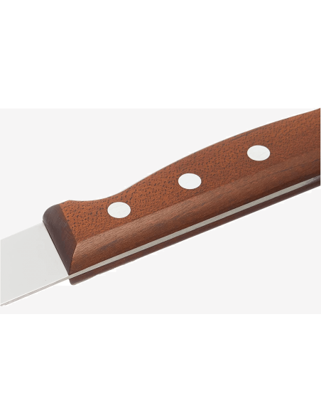 Victorinox kuorintaveitsi 5.3700.18 18cm terä puukahva