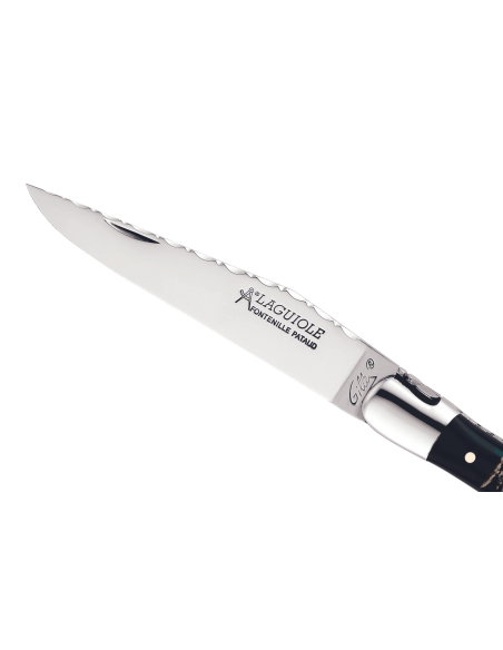 GILLES 5692 Laguiole foldekniv 12 cm med skaft av bøffelhorn og polert rustfritt stålbolster