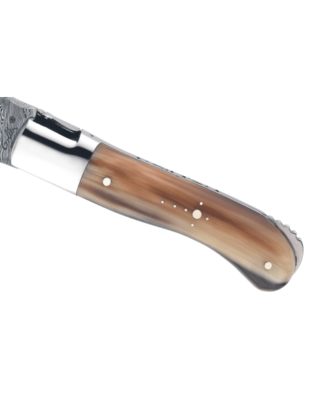 GILLES 9781 Laguiole fällkniv 10,5 cm handtag med hornspets
