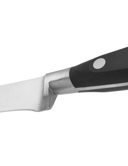 Arcos Riviera smidd skinkekniv 25 cm med granton-eggblad