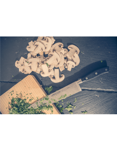 Faca forjada Arcos Riviera Chef 20cm