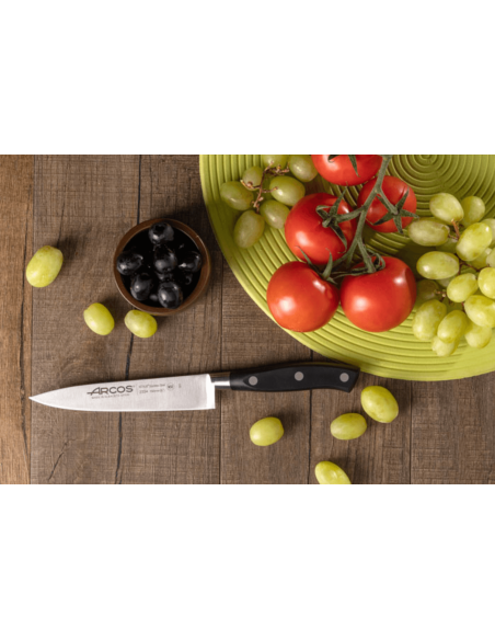 Arcos Riviera Chef ' s taottu veitsi 15cm
