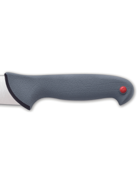 Faca para sangrar profissional Arcos Colour Prof 241700 Lâmina de 20 cm Cabo em PP