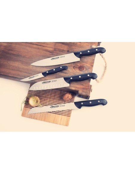 Arcos Maitre vleesmes 22cm lemmet