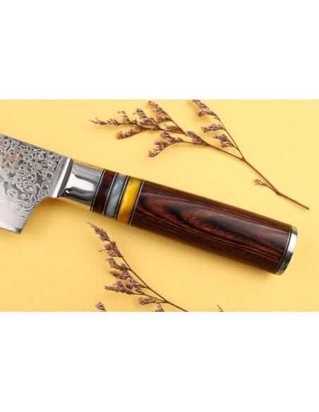 Coltello kiritsuke Kutoyama Coltello kiritsuke in damasco da 24 cm con manico in pakka e anelli in acrilico