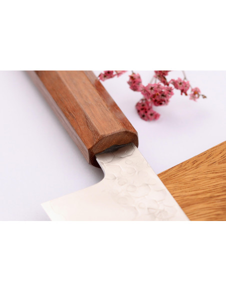 Hado Shiosai SG2 21cm handgjord japansk kiritsuke-kniv